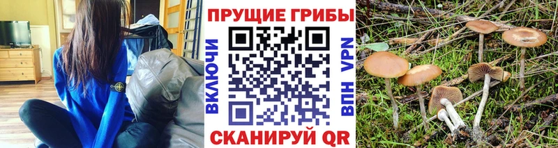 Псилоцибиновые грибы MAGIC MUSHROOMS  Минусинск 